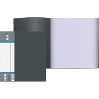 Картинка Папка_100 прозрачных файлов, корешок 65мм, со сменной этикеткой, пластик 0.8мм черный, фактура песок, deVente Daily с сайта smikon.ru